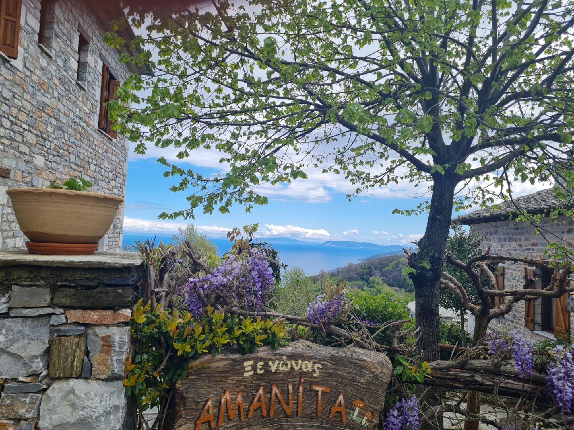 Amanita Boutique Hotel Tsagkarada Buitenkant foto